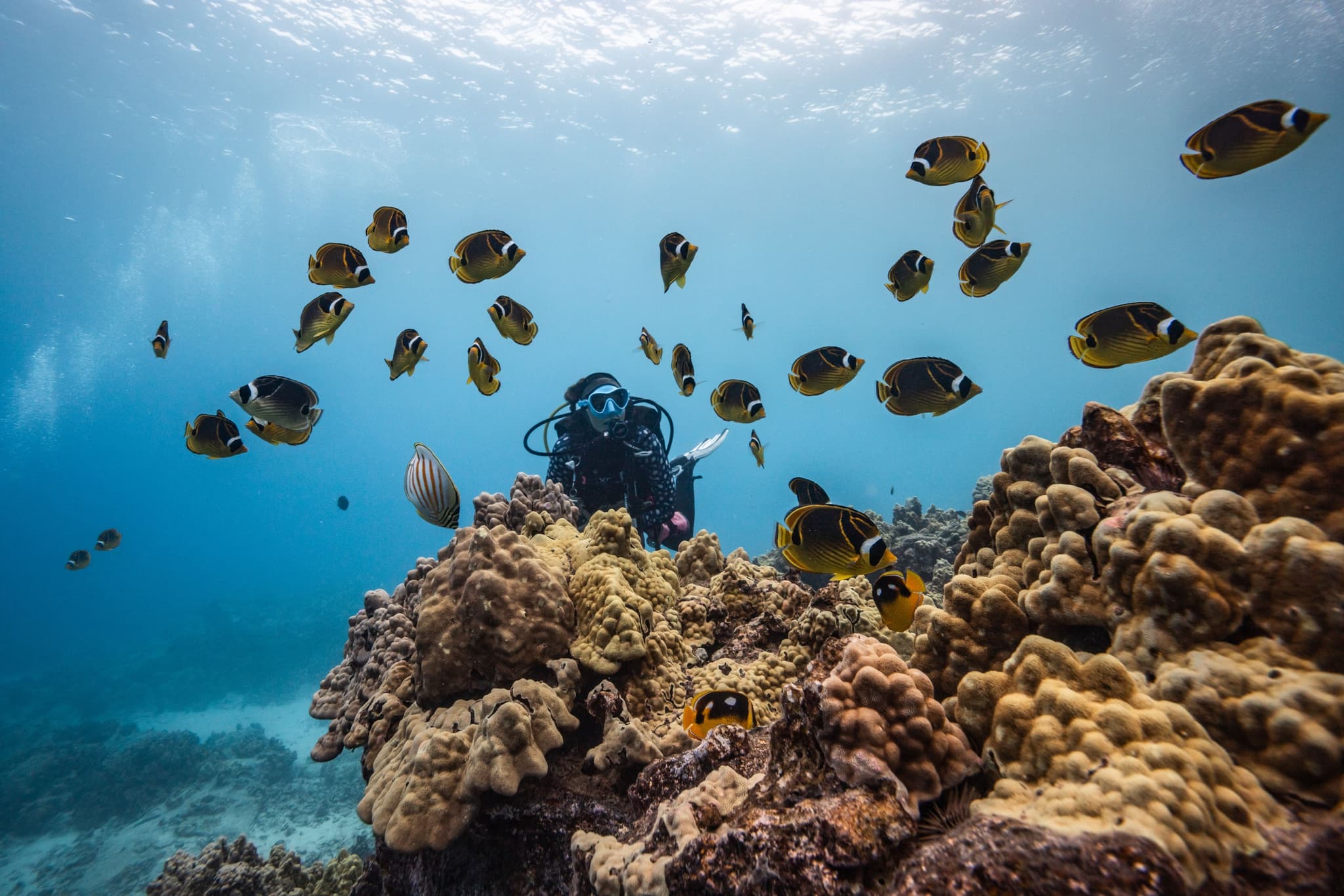 Signature Morning Dive: Two Tank Morning Charter