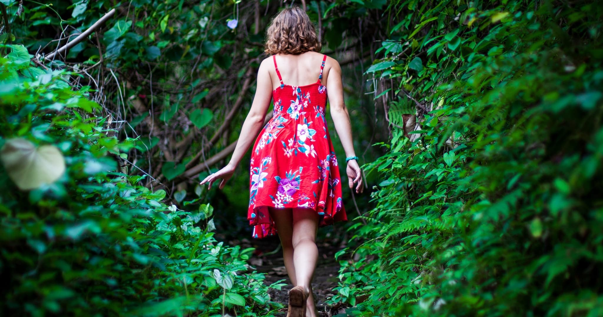 Private Halfway to Hana VIP Tour Large Group