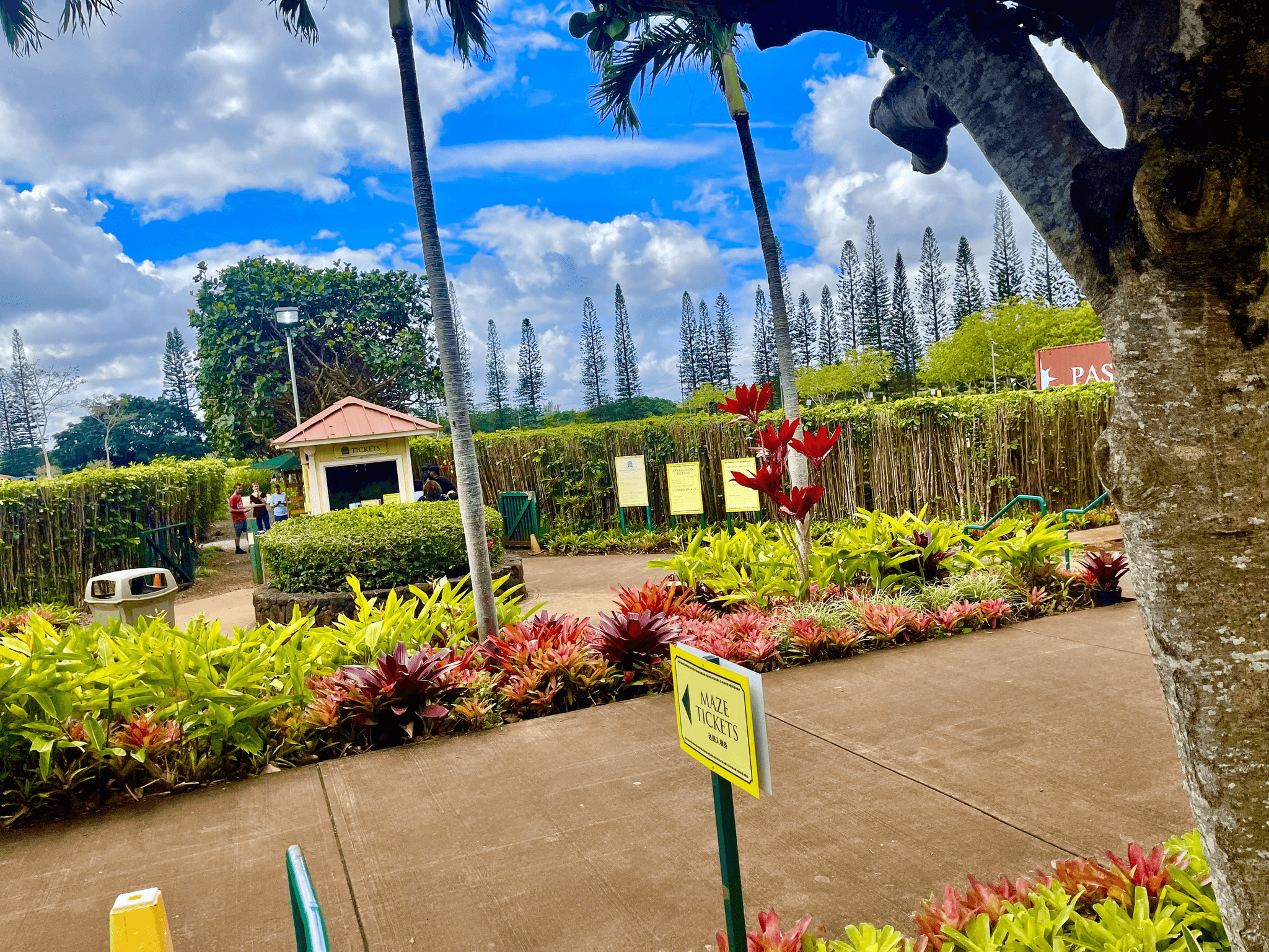 Waikiki - Dole Plantation & Haleiwa Town Shuttle