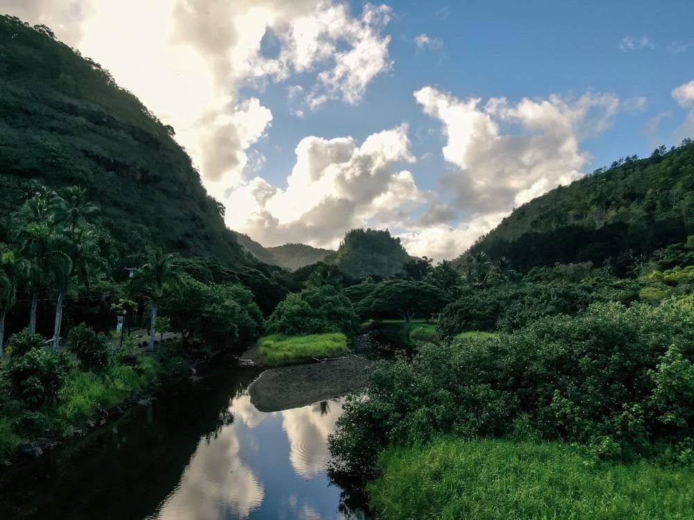 Hidden Gems of Oahu with Waimea Botanical Garden