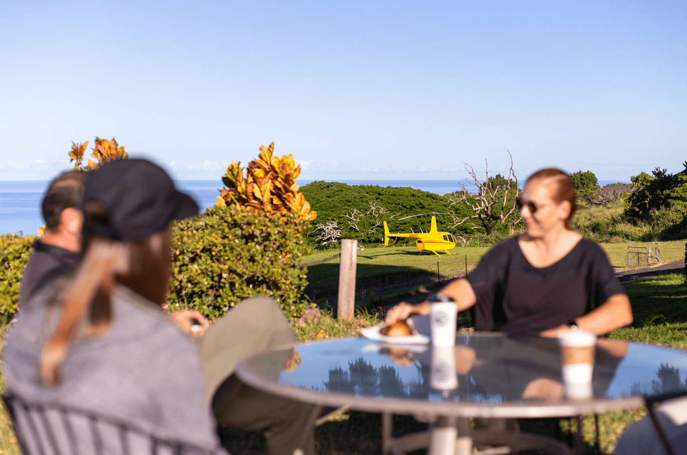 Kona Coffee & Coastline Adventure