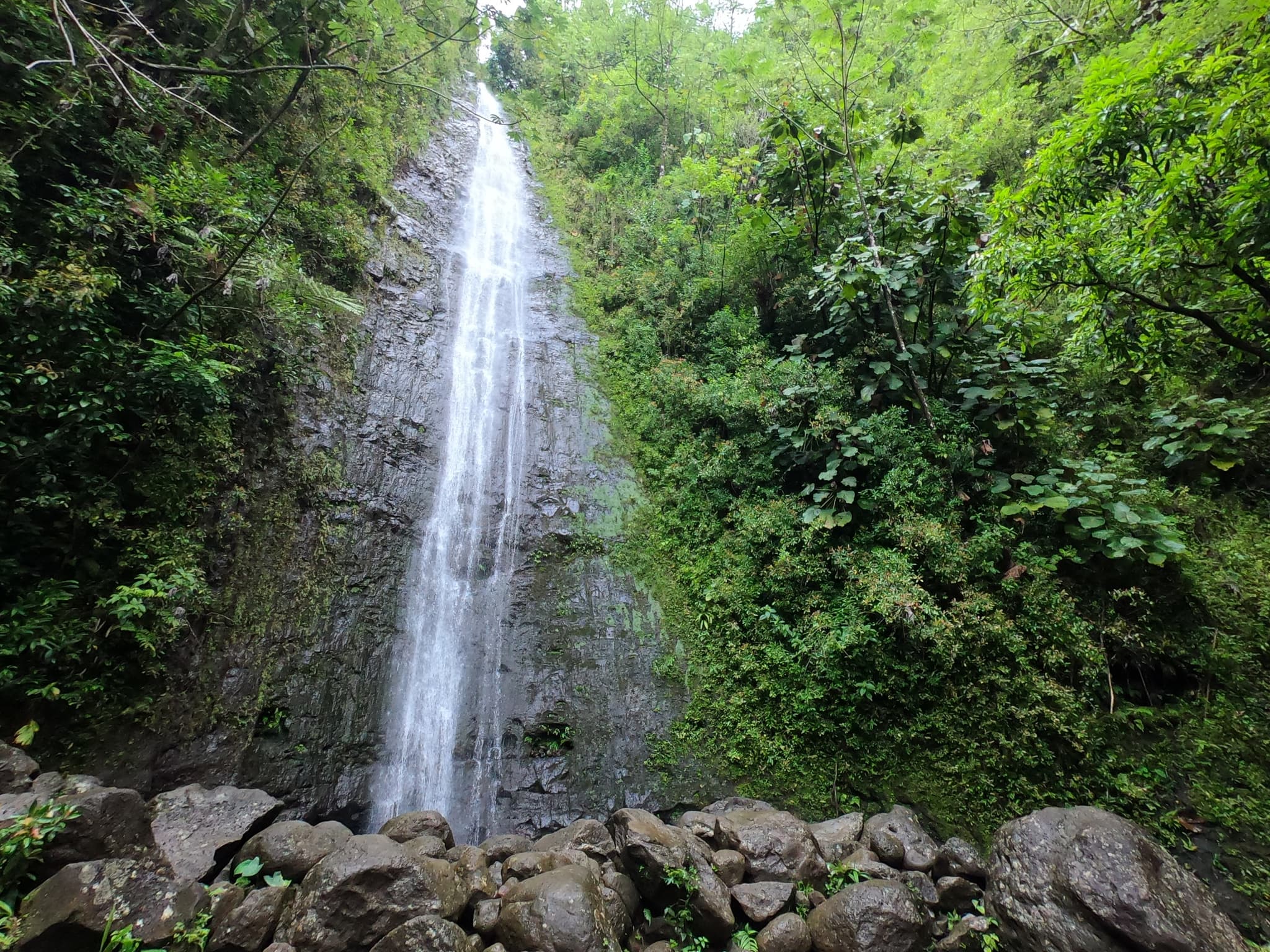 Hawaiian Waterfall Hike and Downhill Bike