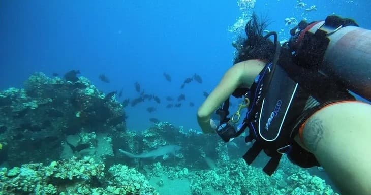 Intro SCUBA Adventure