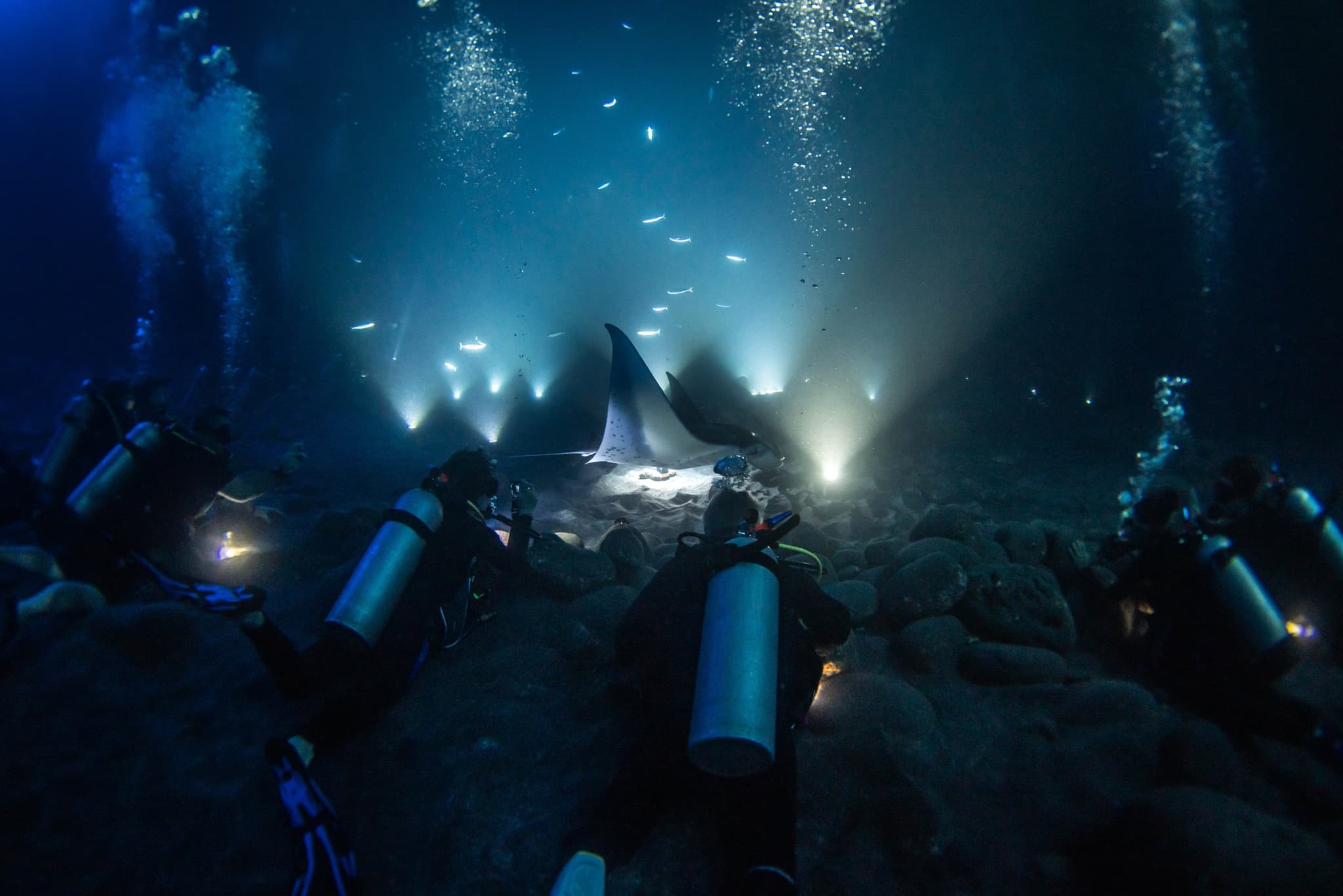 The Twilight Reef & Kona Manta Ray Experience: Two Tank Charter