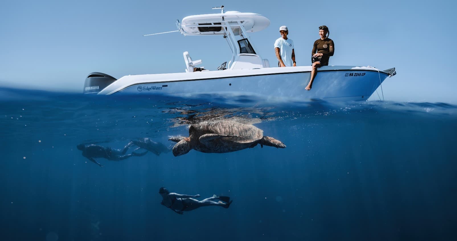 SeaTiger Shipwreck Free-Diving Tour