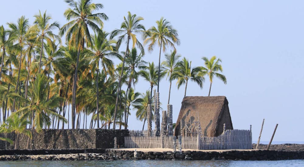 Historical Kona and Farm Tour