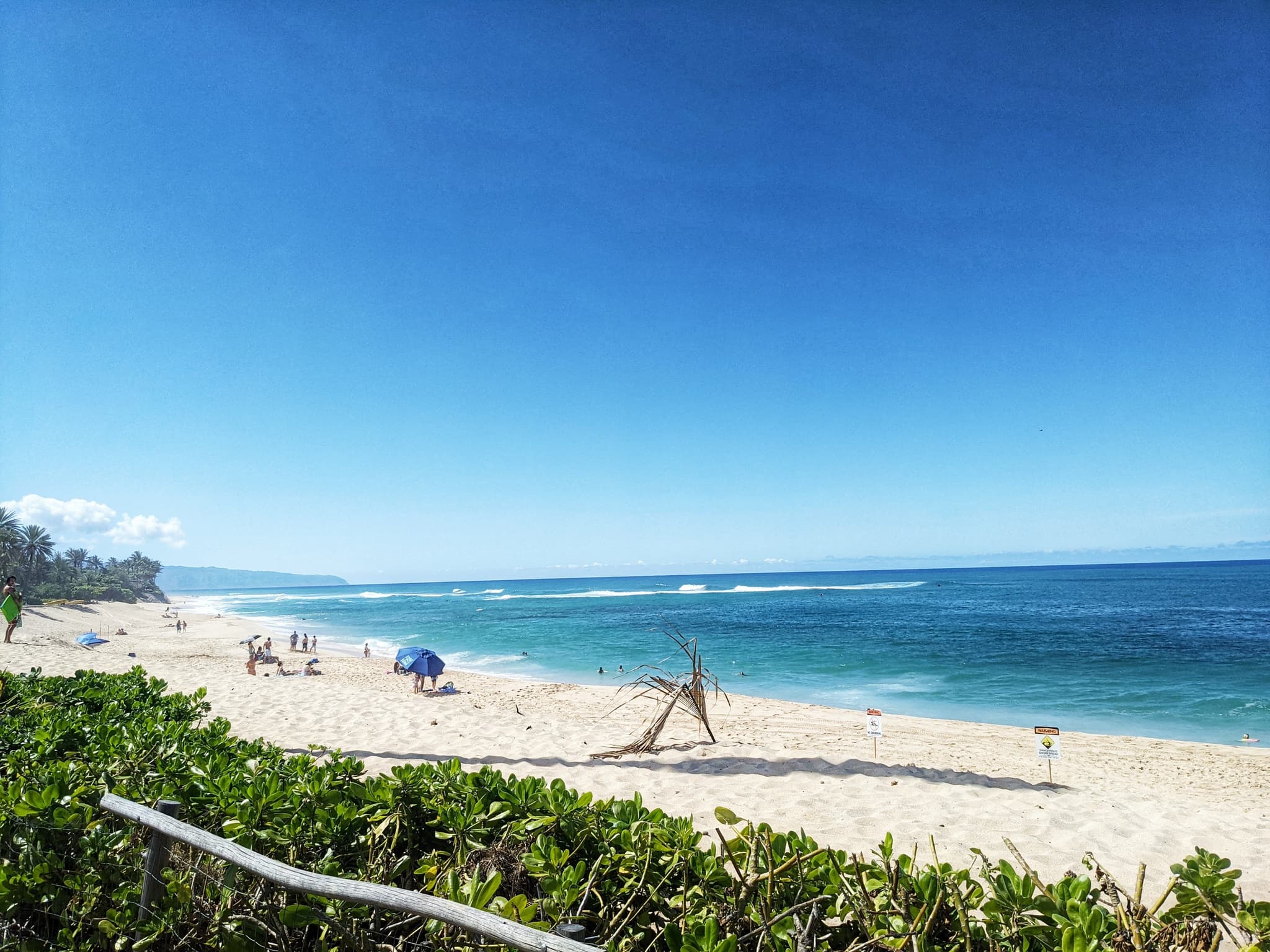 Round trip North Shore Shuttle Waimea Valley Haleiwa