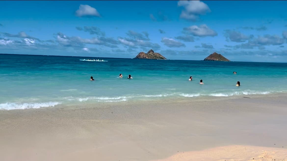Oahu South Shore (Private) Tour