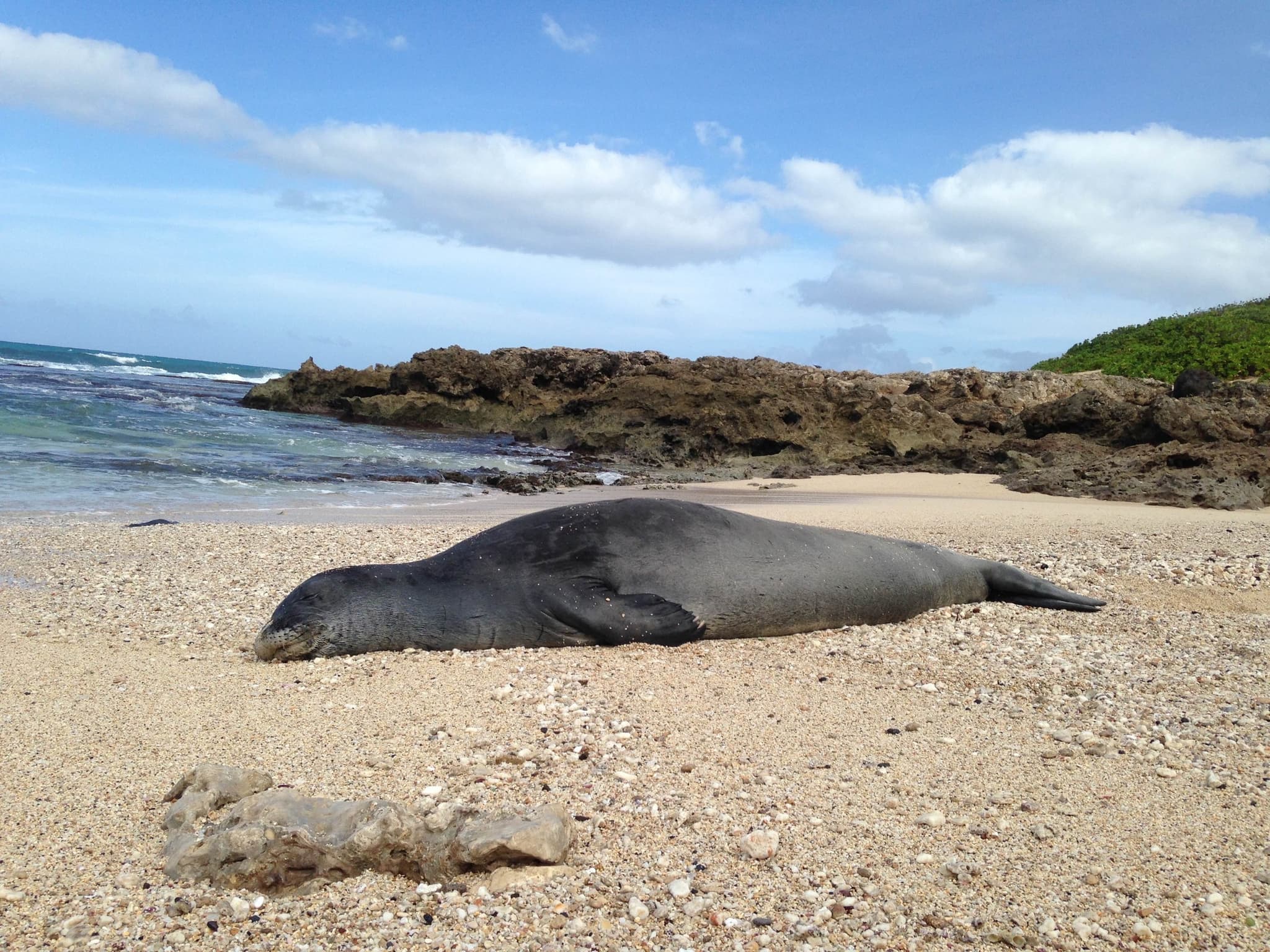 Off-Road Adventure Tour On Oahu’s North Shore