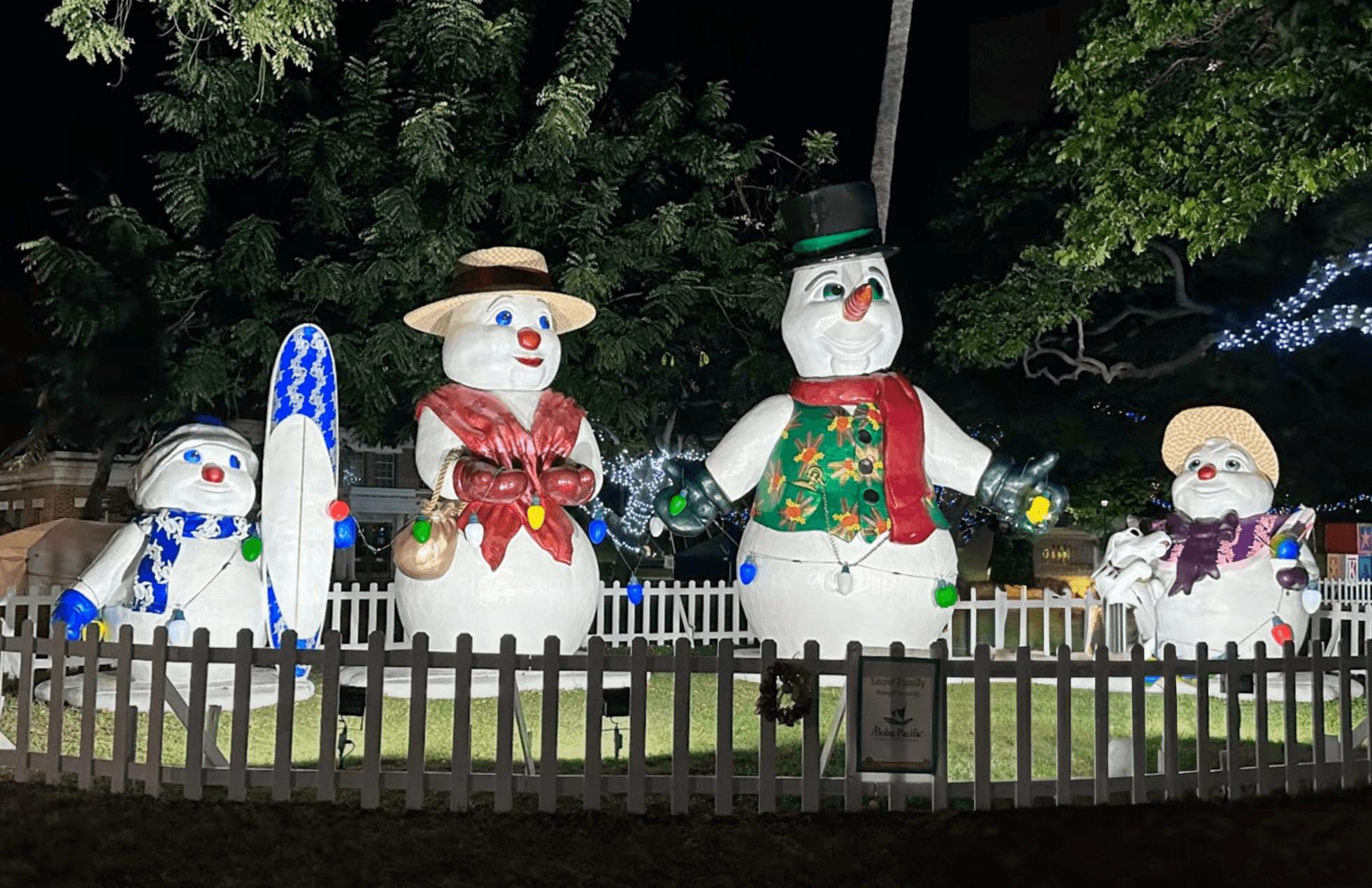 Hawaii Christmas Trolley - Honolulu City Lights