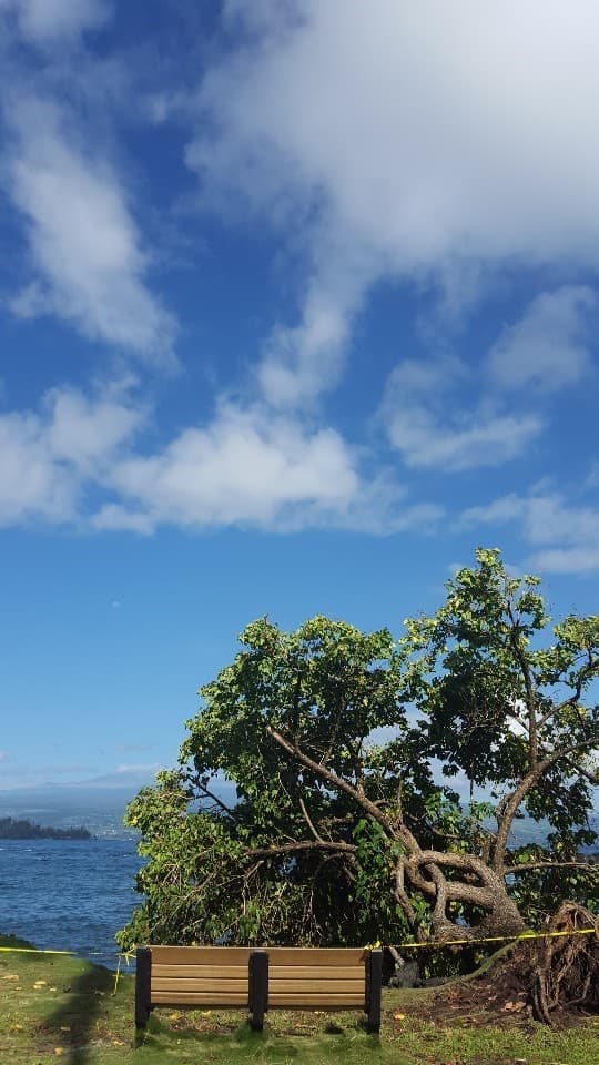 빅아일랜드 1일 관광 - 빅아일랜드공항 조인