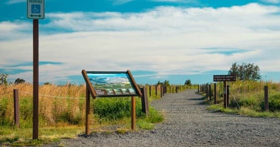 Big Island Private Tours From Hilo