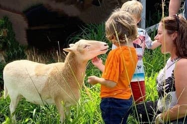 Public Sanctuary Tours