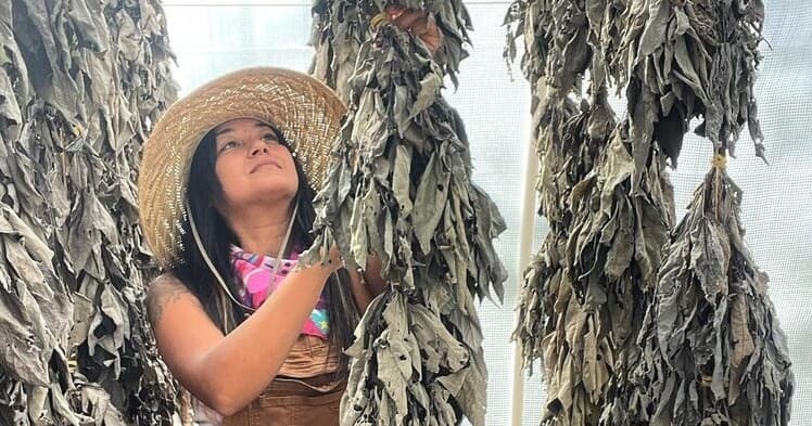 Hawaii Forest Farms Tours