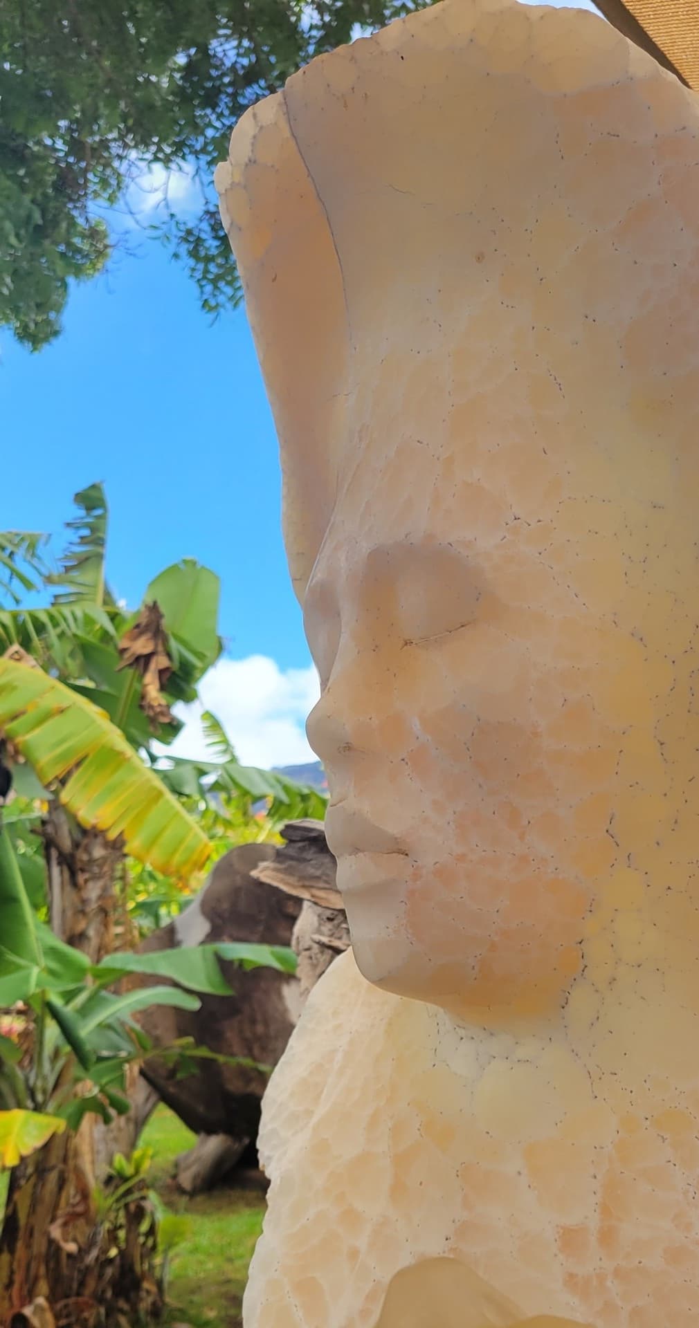 Dale Zarrella Studio Tour