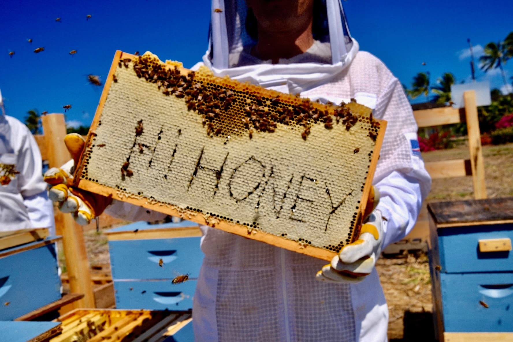 North Shore Apiary Tour & Honey Tasting