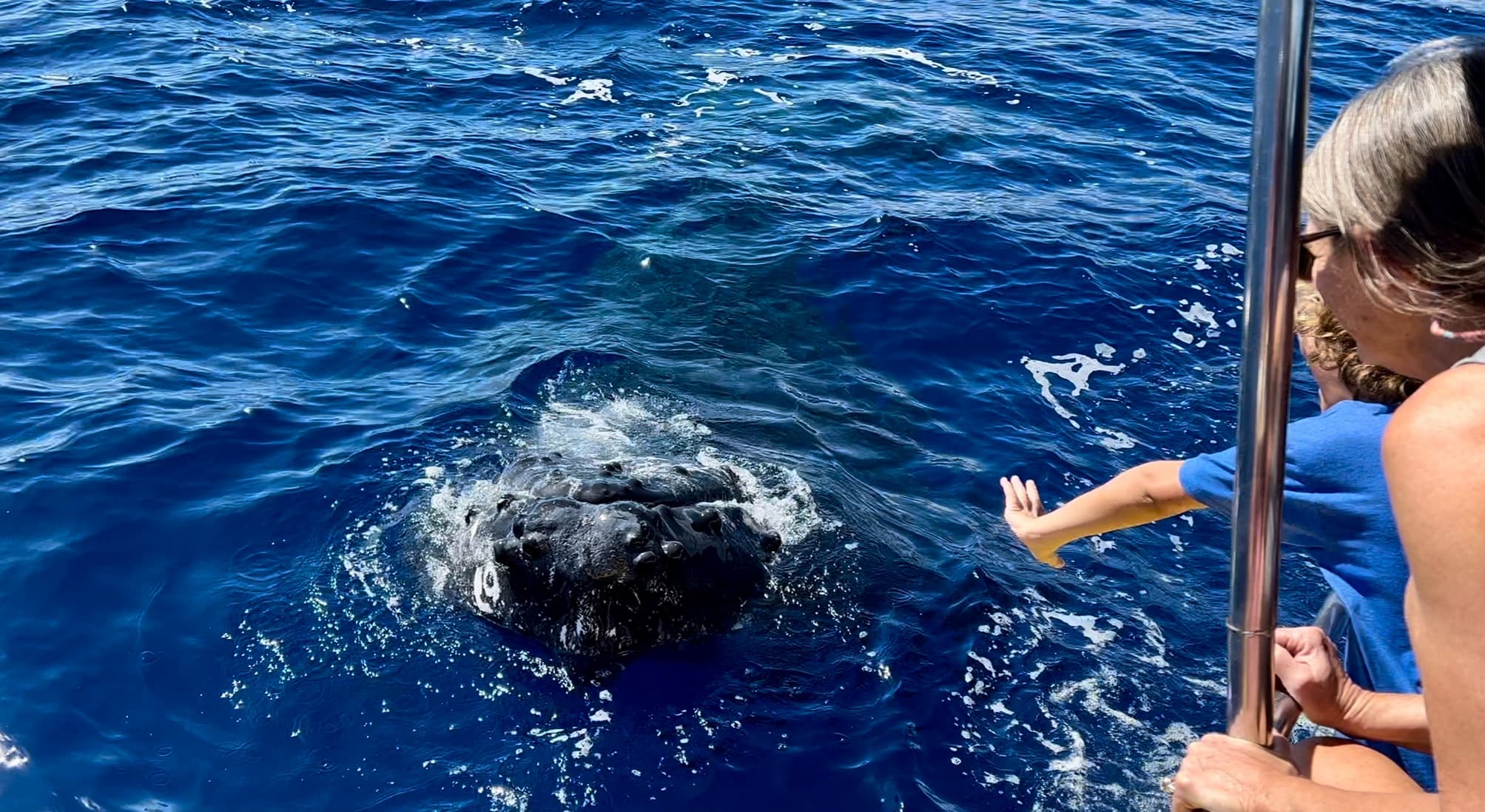 1:30 Afternoon Delight Whale Watch