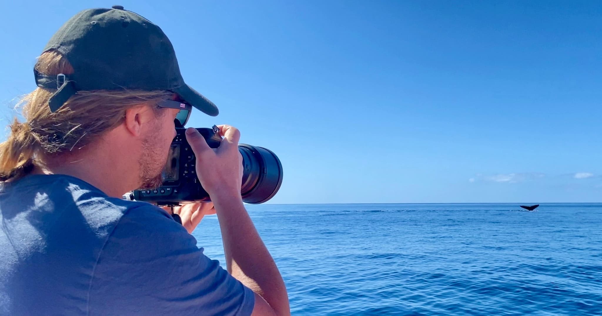 2 HOUR Whale Watch Photography Expedition