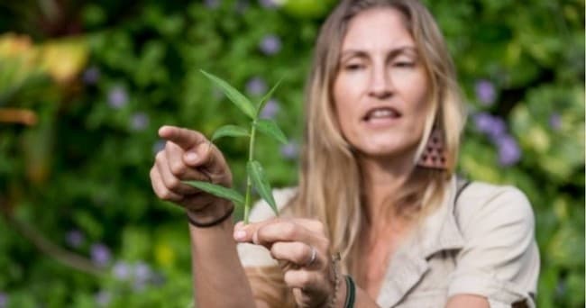 Wild Food & Farm Tour