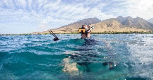 Maui Spearfishing