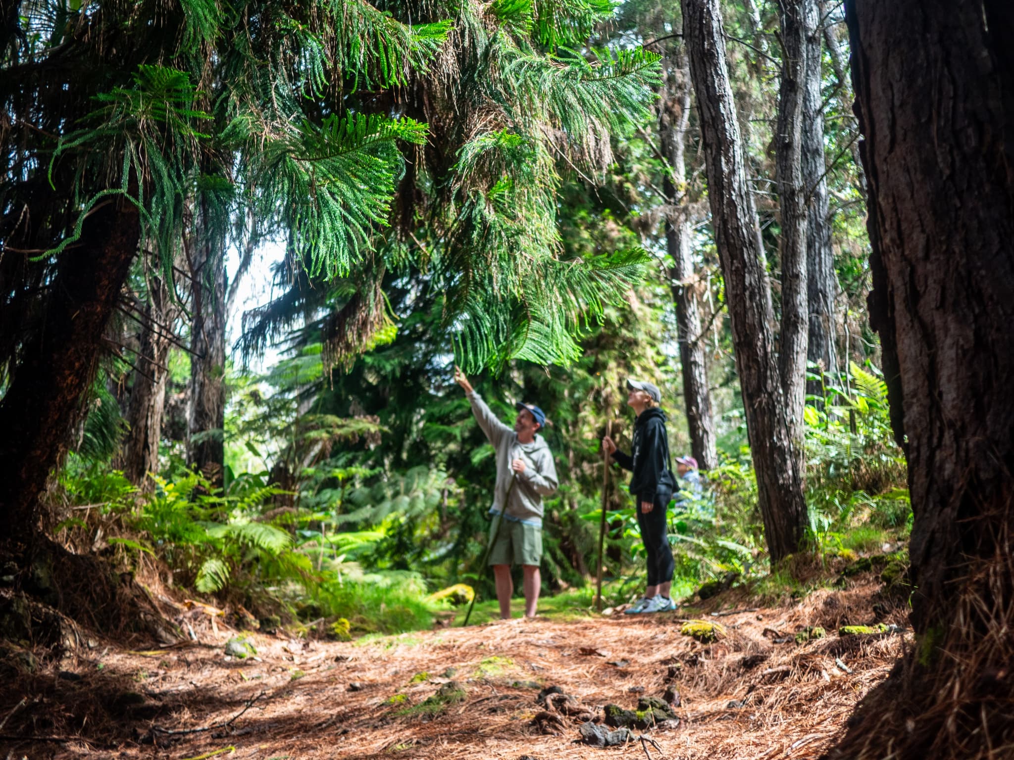 Sanctuary Snapshots: A Guided Photo Journey (Thursdays)