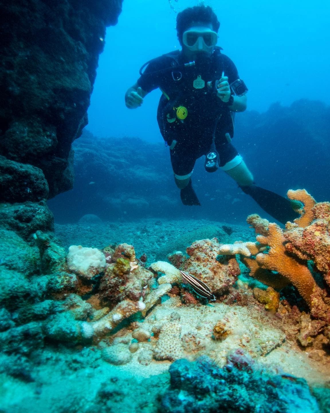 1-Tank Discover SCUBA - Koloa Landing