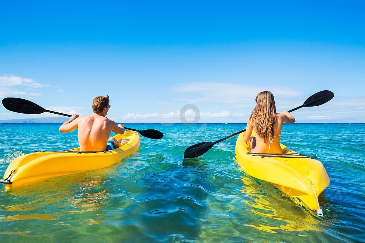 Kayak Rentals $50 per hour.