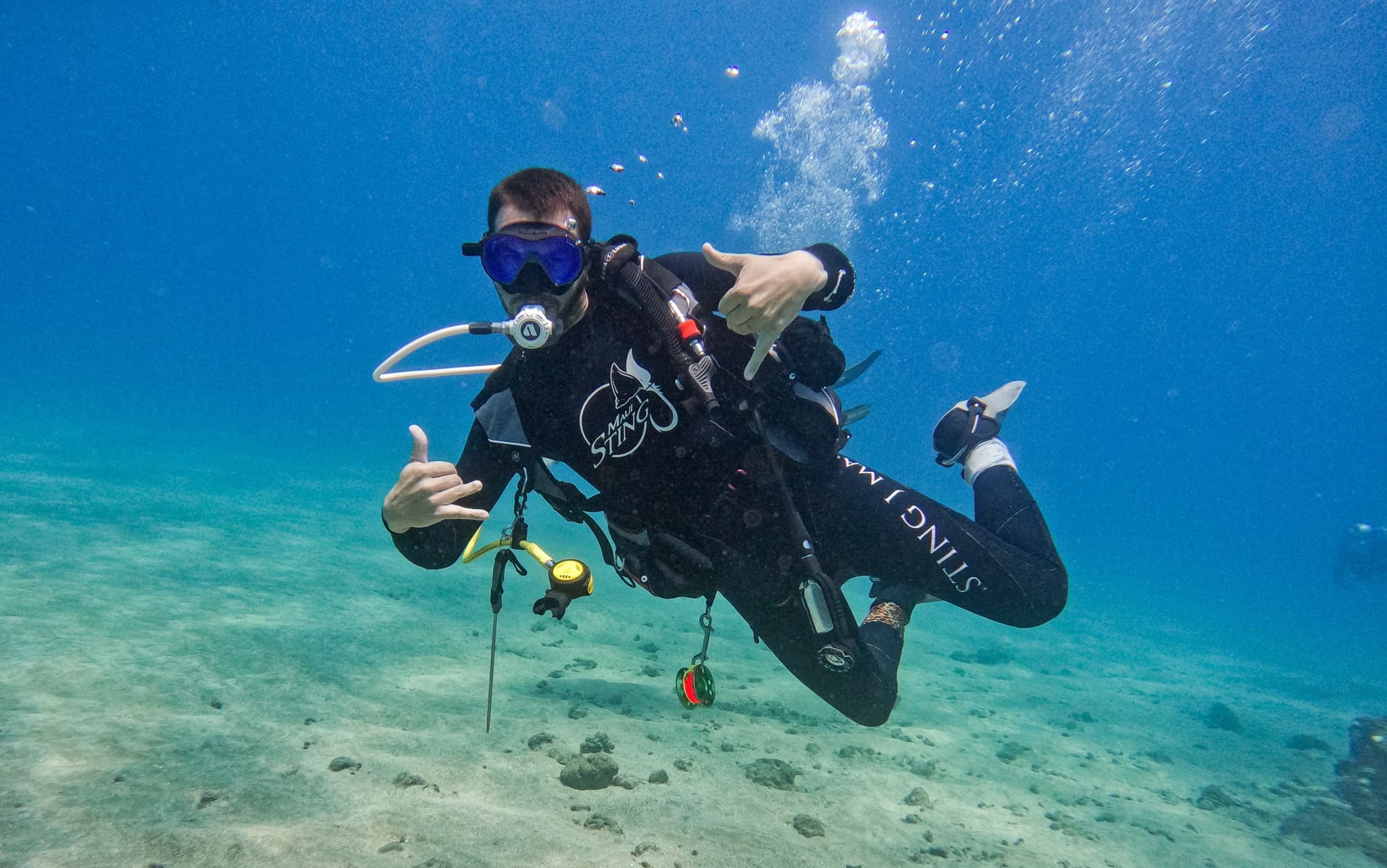 Guided Shore Dives