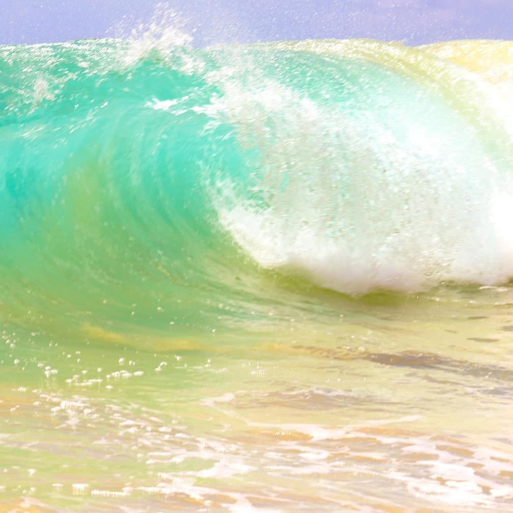 Round Trip North Shore Haleiwa Shuttle