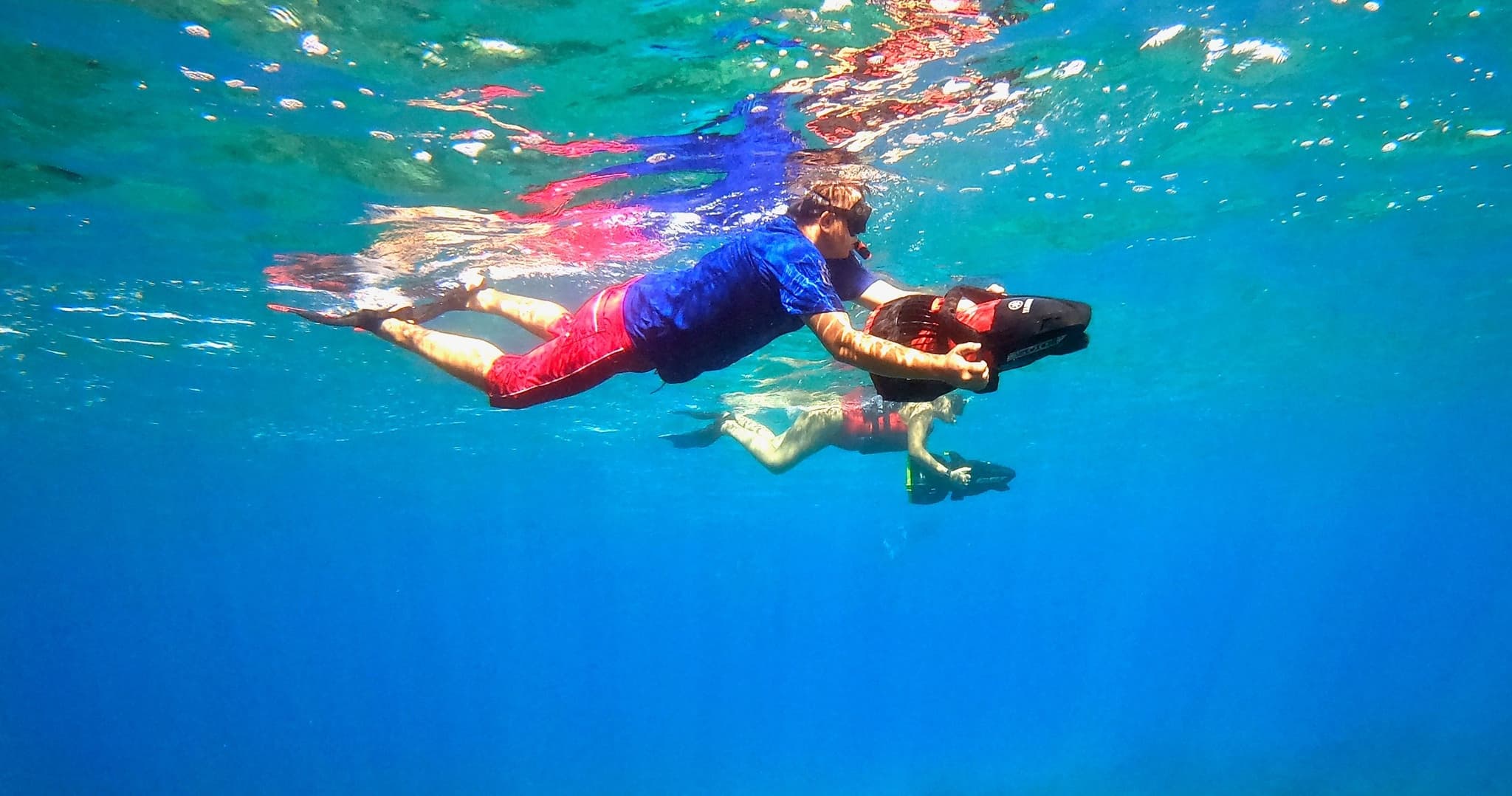 Private Snorkeling Guided Tour - Turtle Town