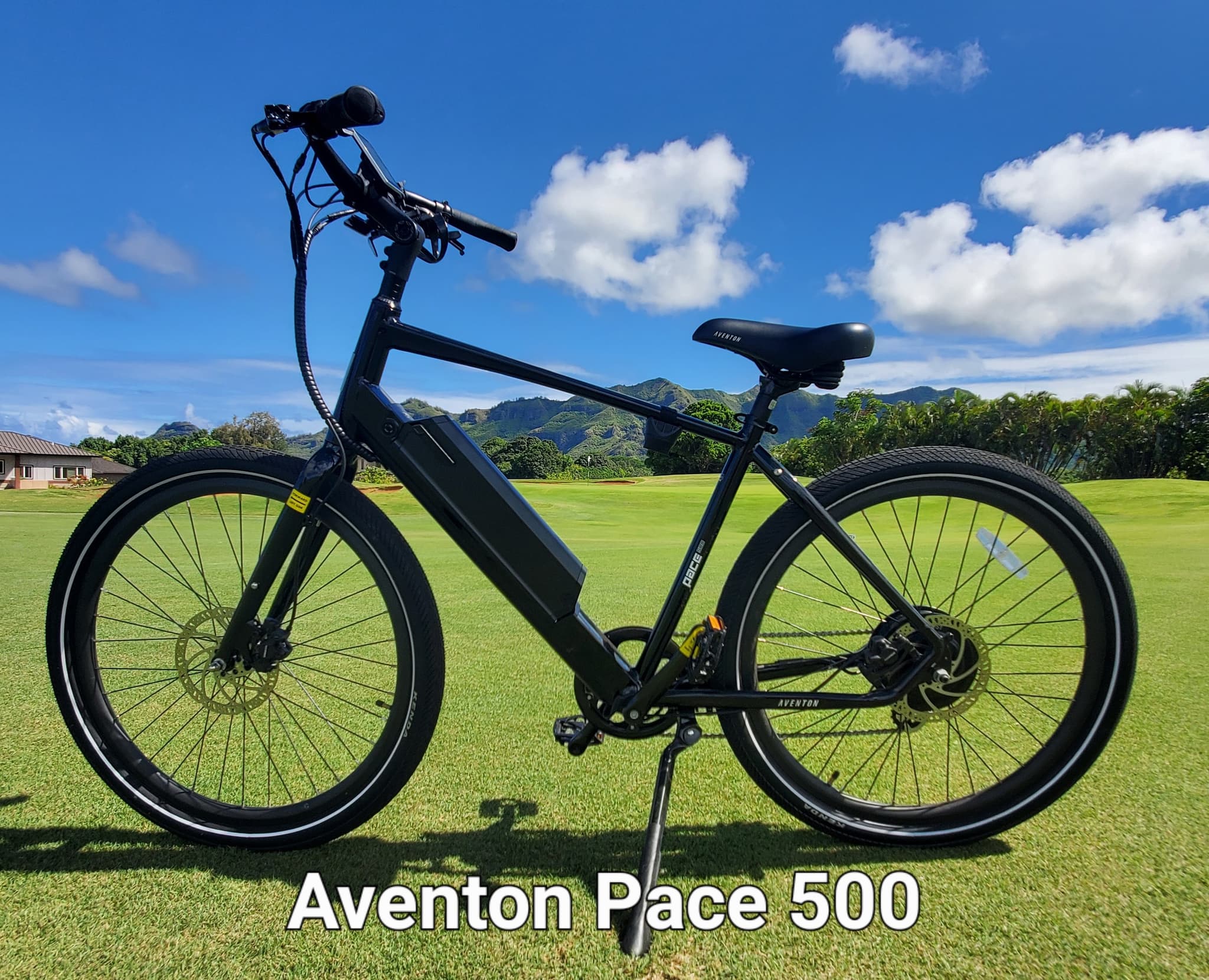8-Day Ebike Rental