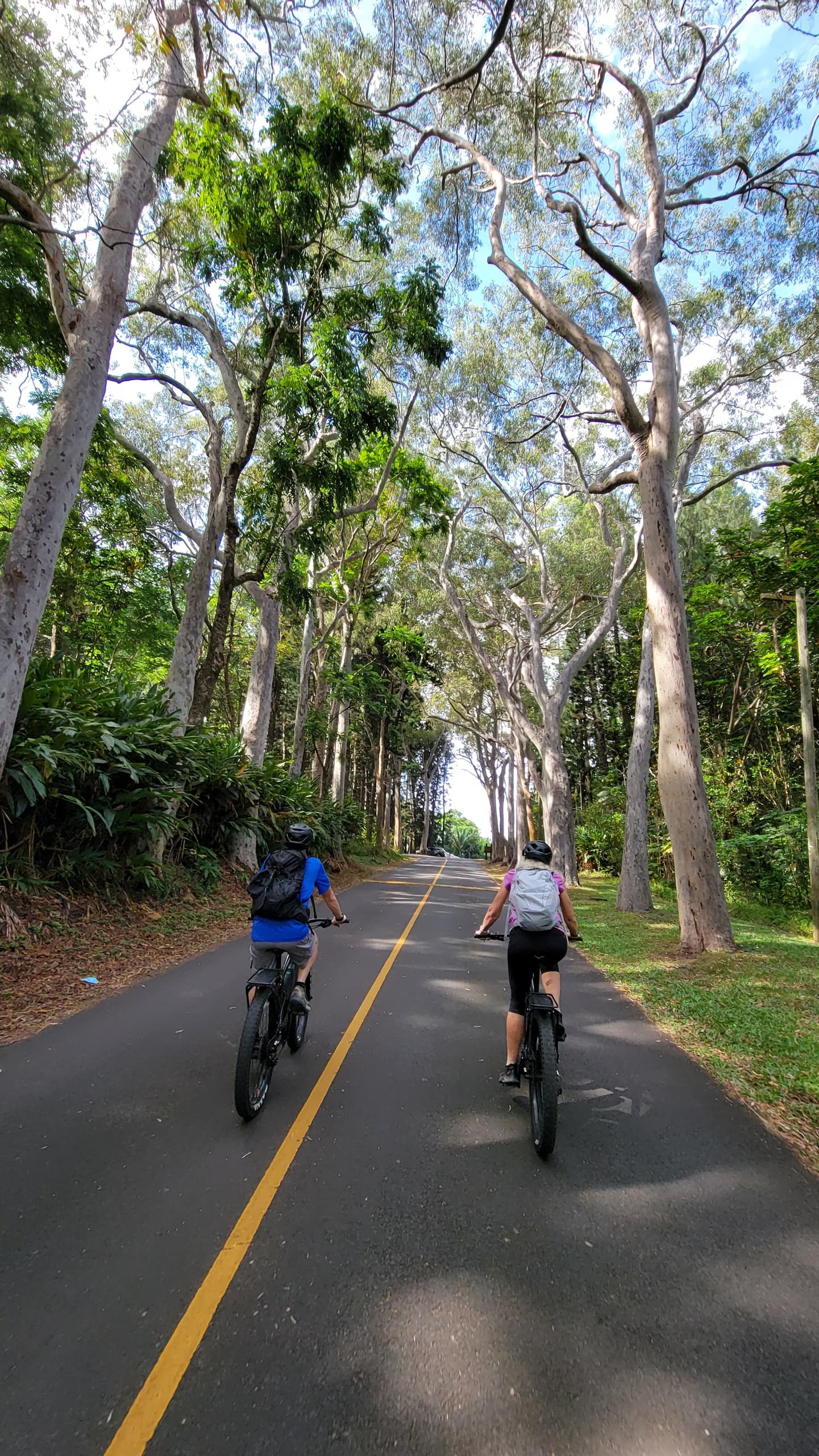 E-Bike Tour – Honolulu Rainforest Ride