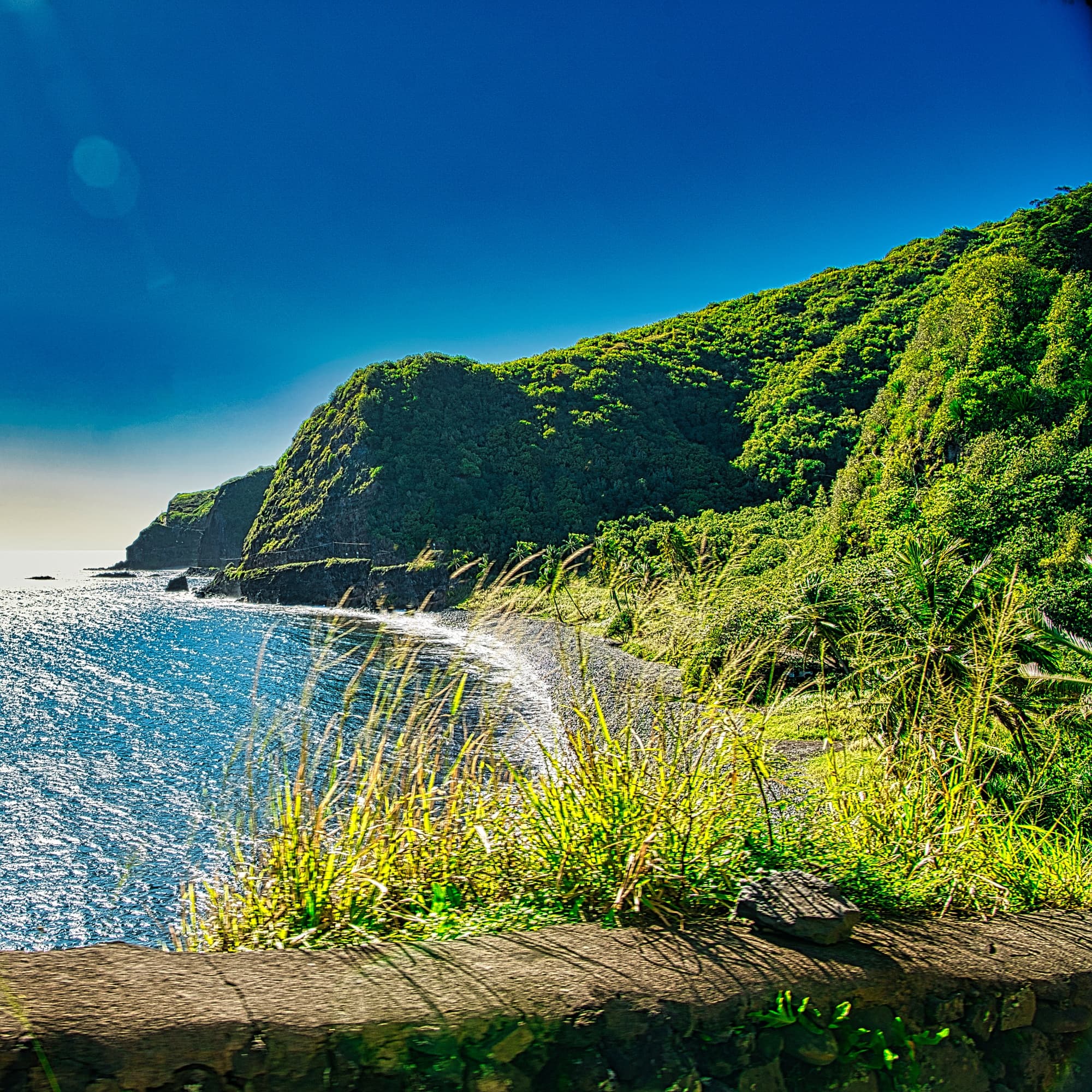 Road to Hana Group Tour - Full Day