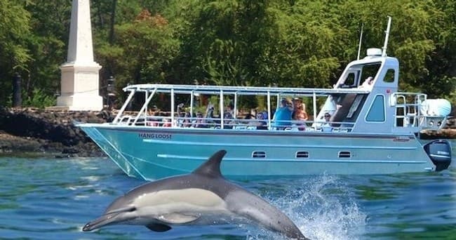 Kona Coast Captain Cook Reef Snorkel