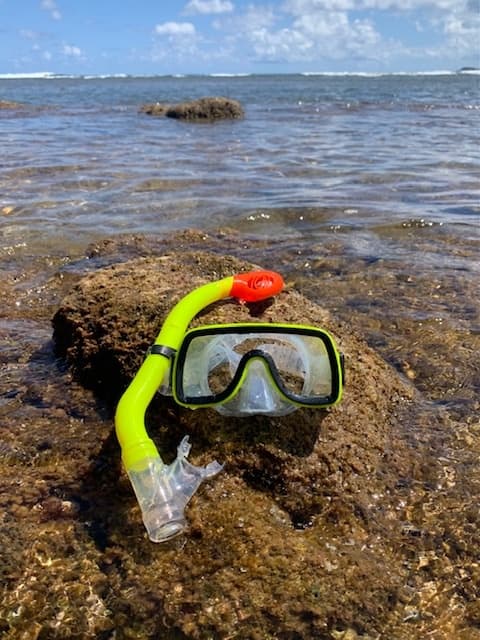 Kids Dry Snorkel + Mask