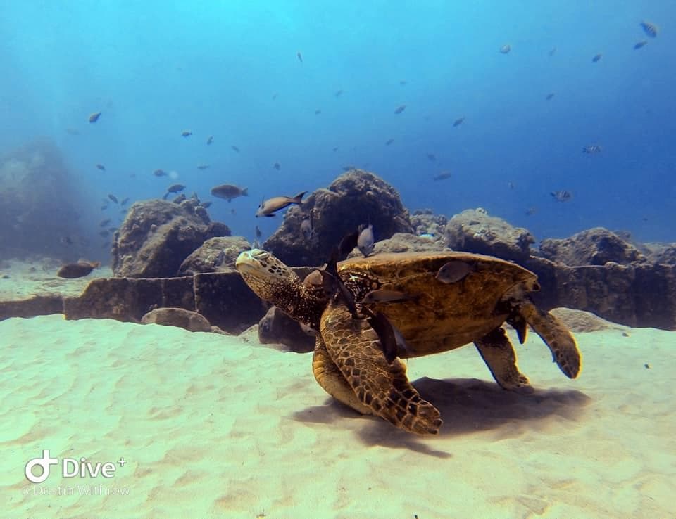 DIVER ADVENTURE - Private Group