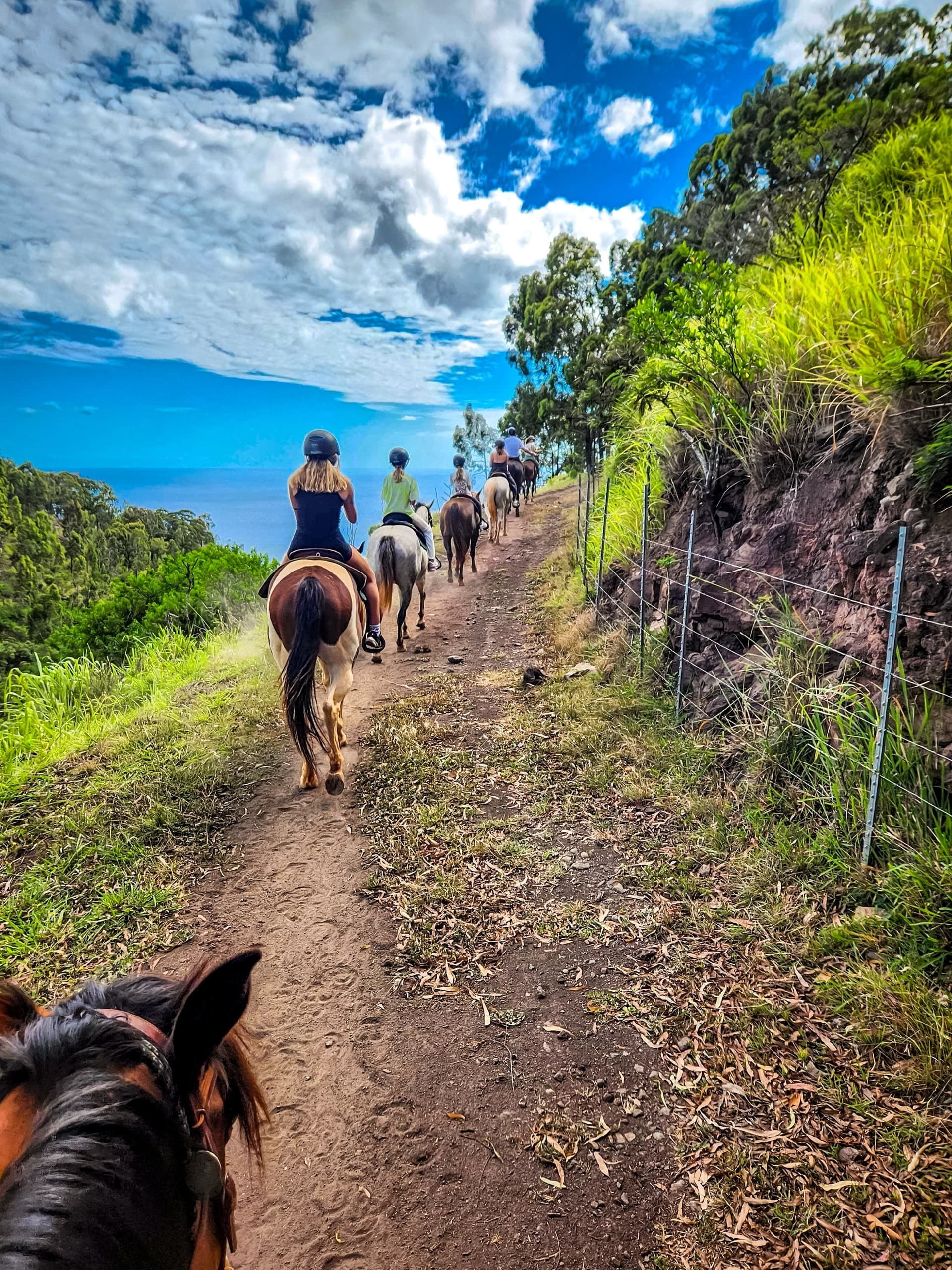 Sunshine Horseback Ride