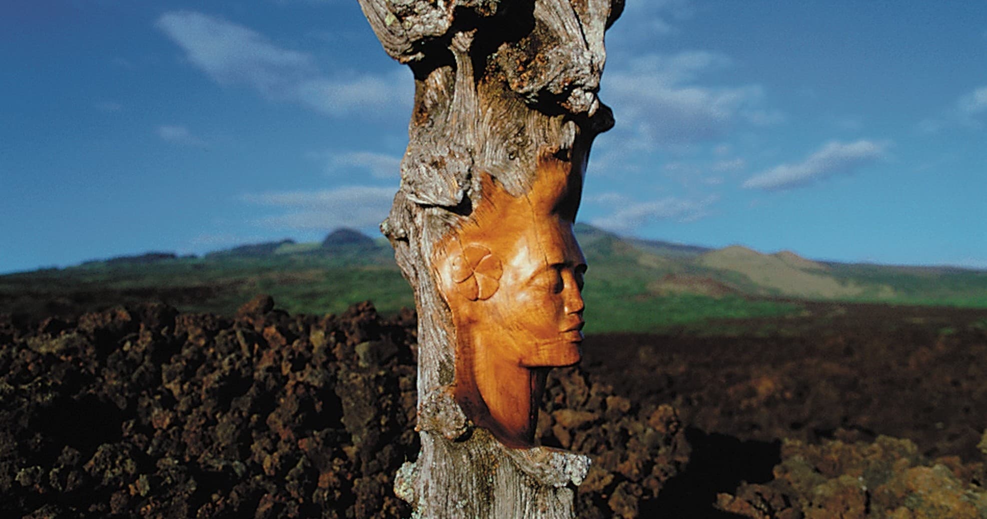 Dale Zarrella Studio Tour