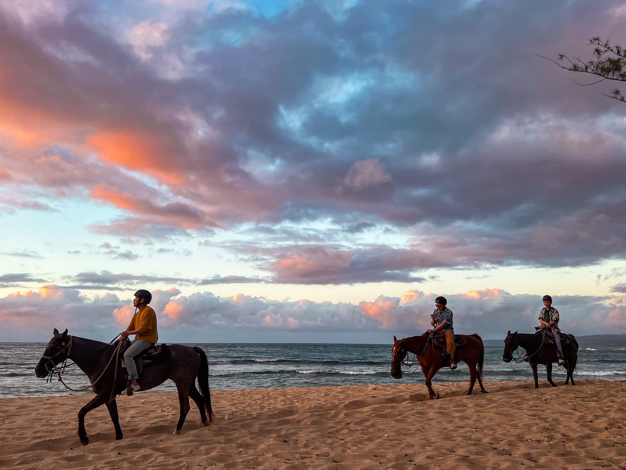 Sunset Horseback Ride