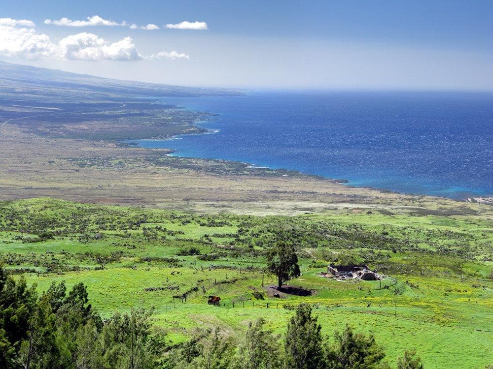 Double Valley Slingshot Adventure Tour - Navigation Guided