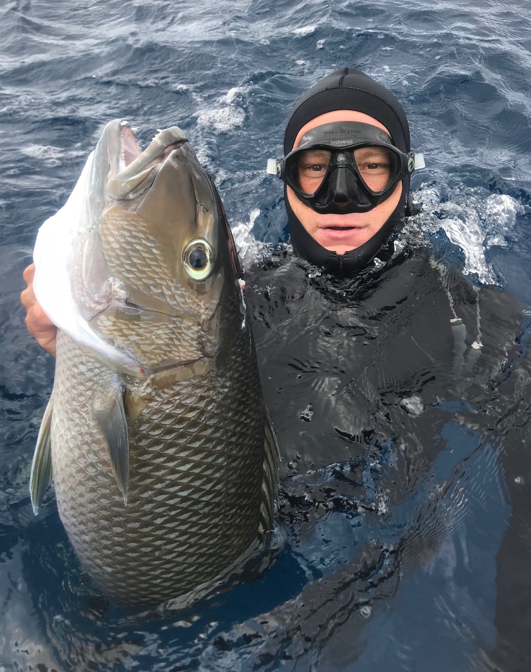 Reef Spearfishing