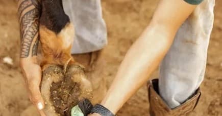Private Horsemanship & Riding Lesson