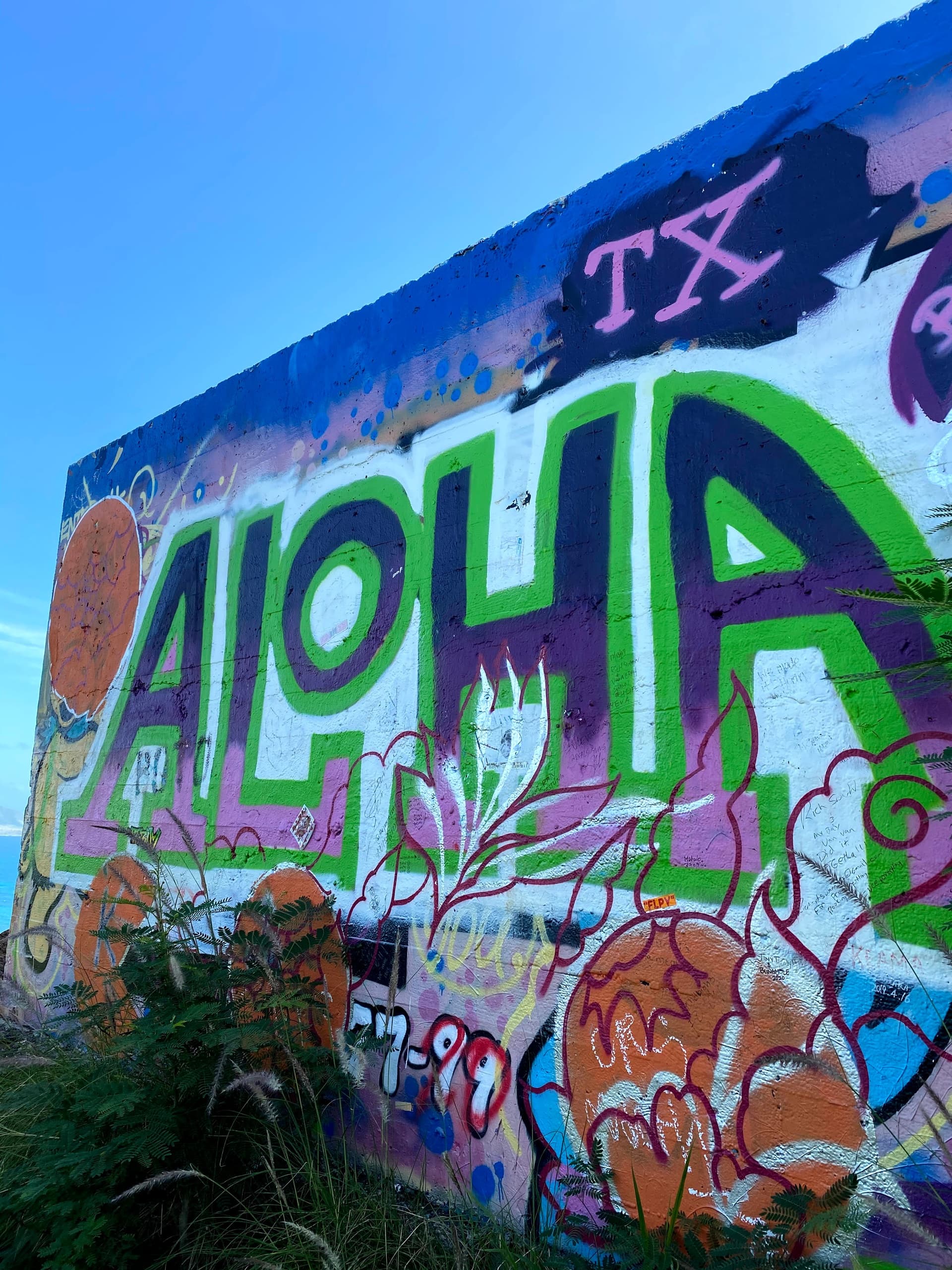 ラニカイピルボックスハイキング