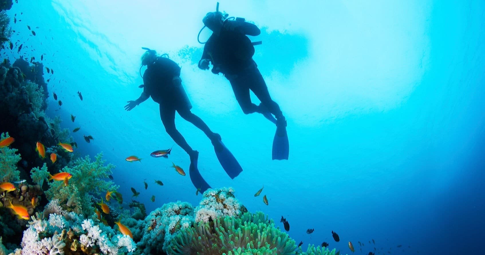 Open Water- Three Day