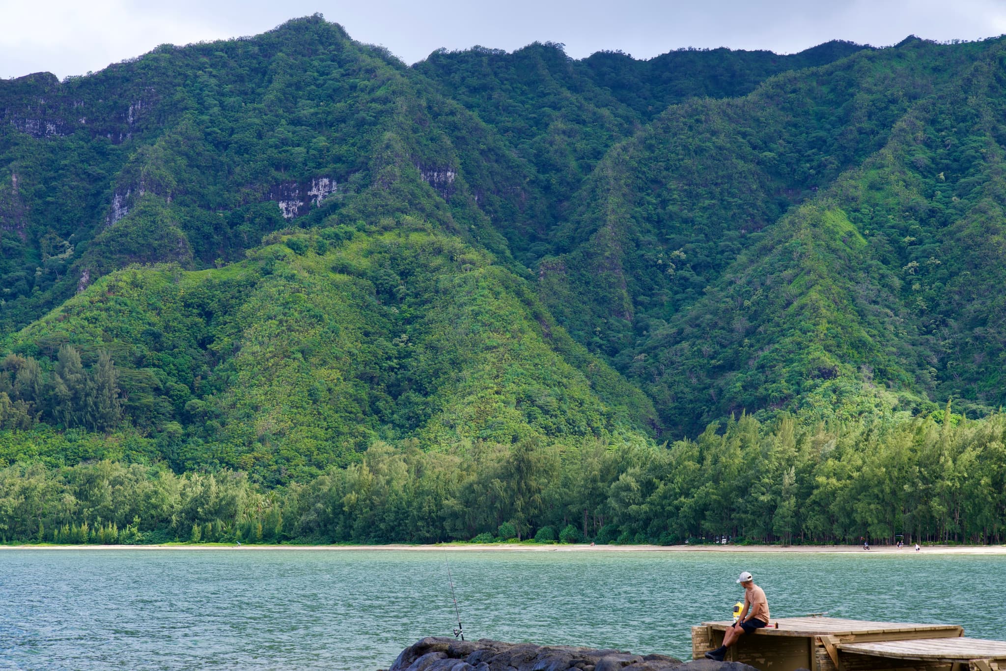 Oahu Sightseeing & Photos Tour