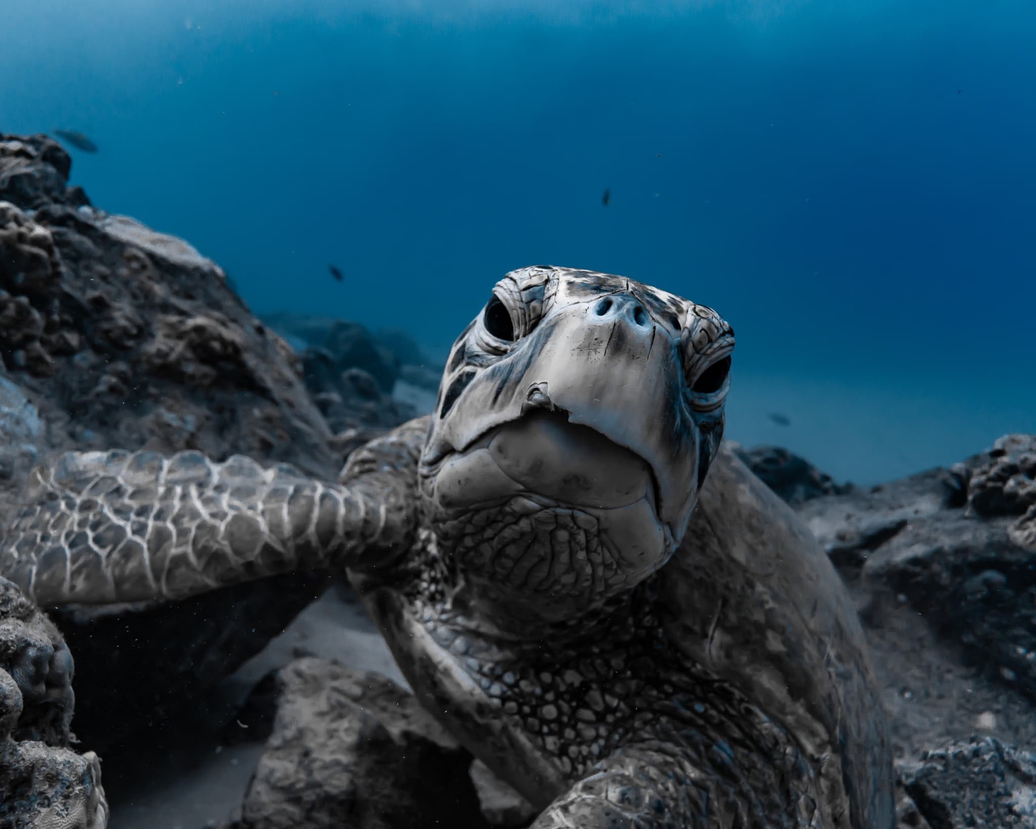 DRIFT HK - Private Cruise