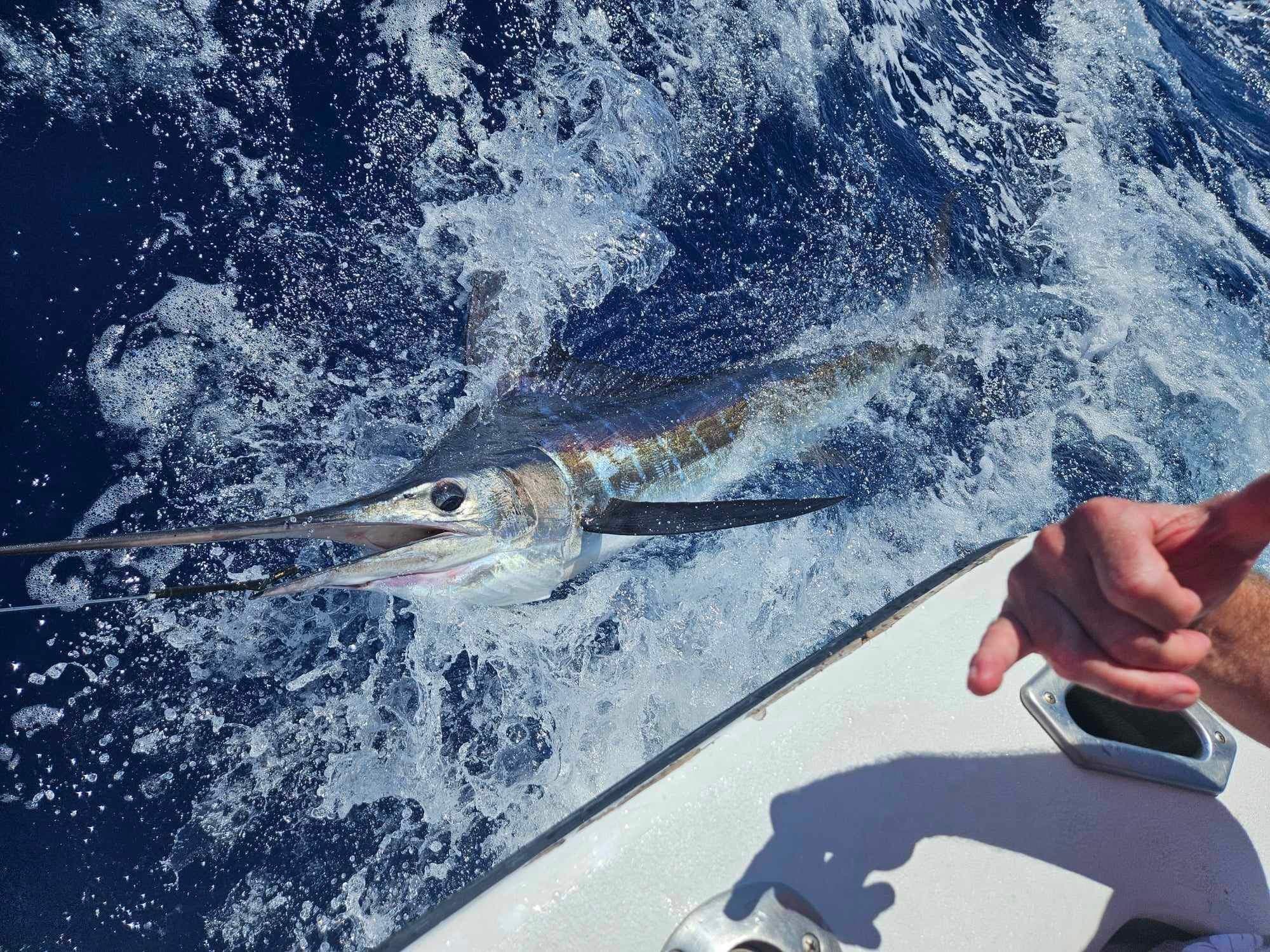 10 Hour Fishing Escape 40' Cabo