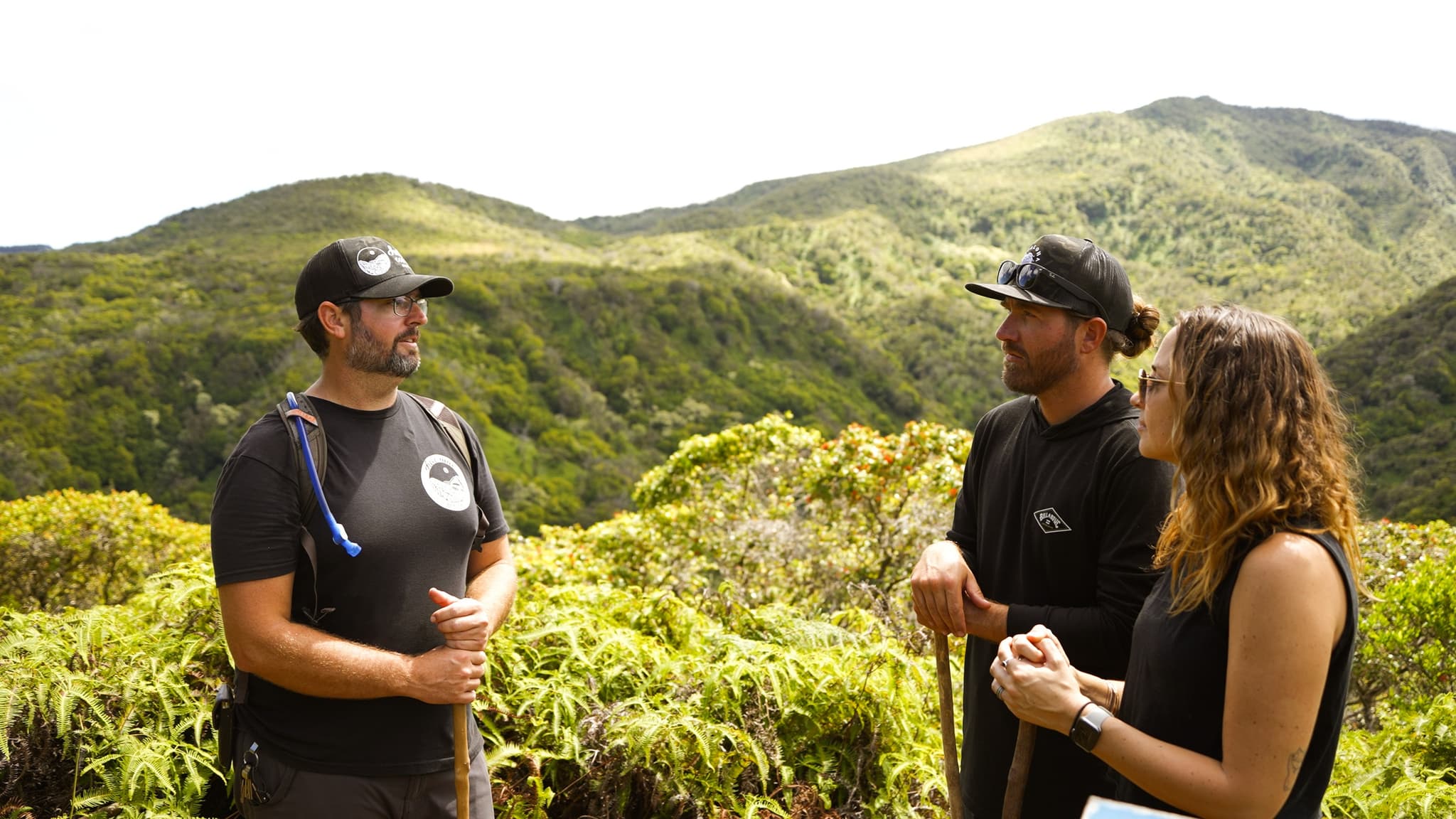 Honolua Ridgeline Hike: A Conservation Experience