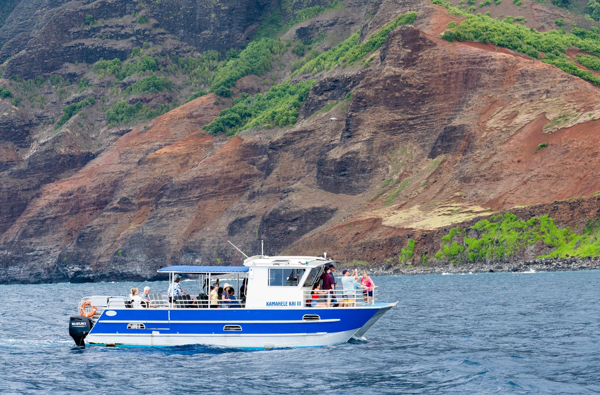 Afternoon Tour - Winter