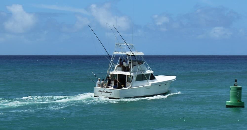 Shared Charter - Half Day